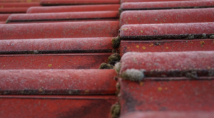 mosh roofing