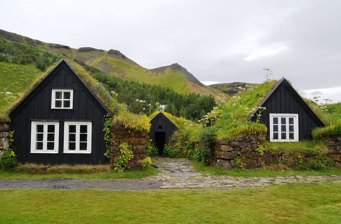 green roof